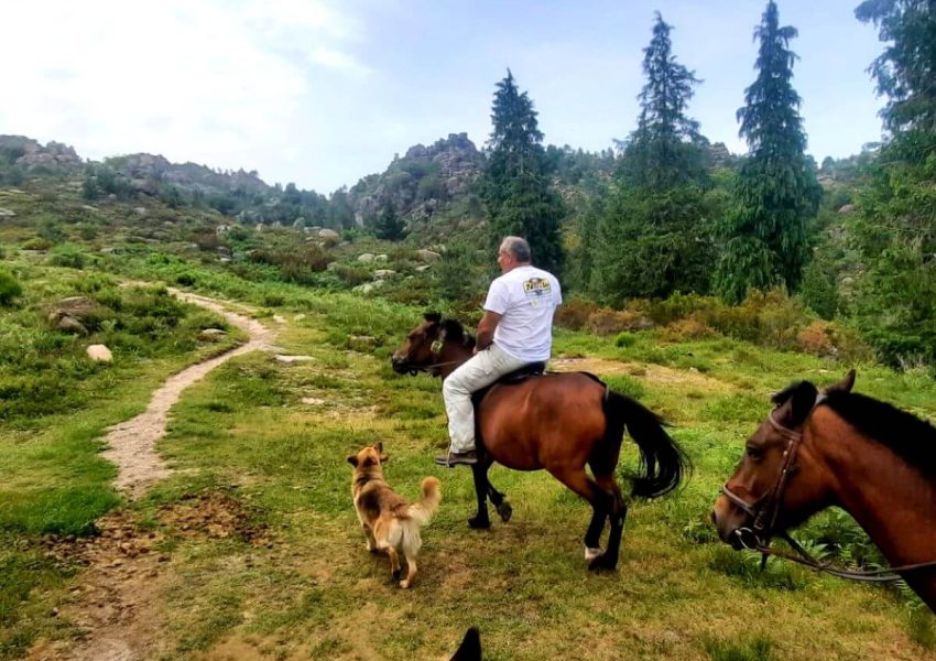 passeio a cavalo